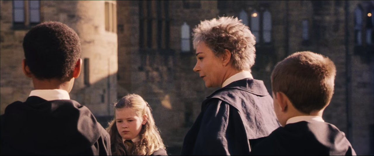 Harry Potter and the Philosopher's Stone (2001) BluRay Hindi + English 720p 10bit HEVC HE-AAC 5.1 ESub.mkv.0002